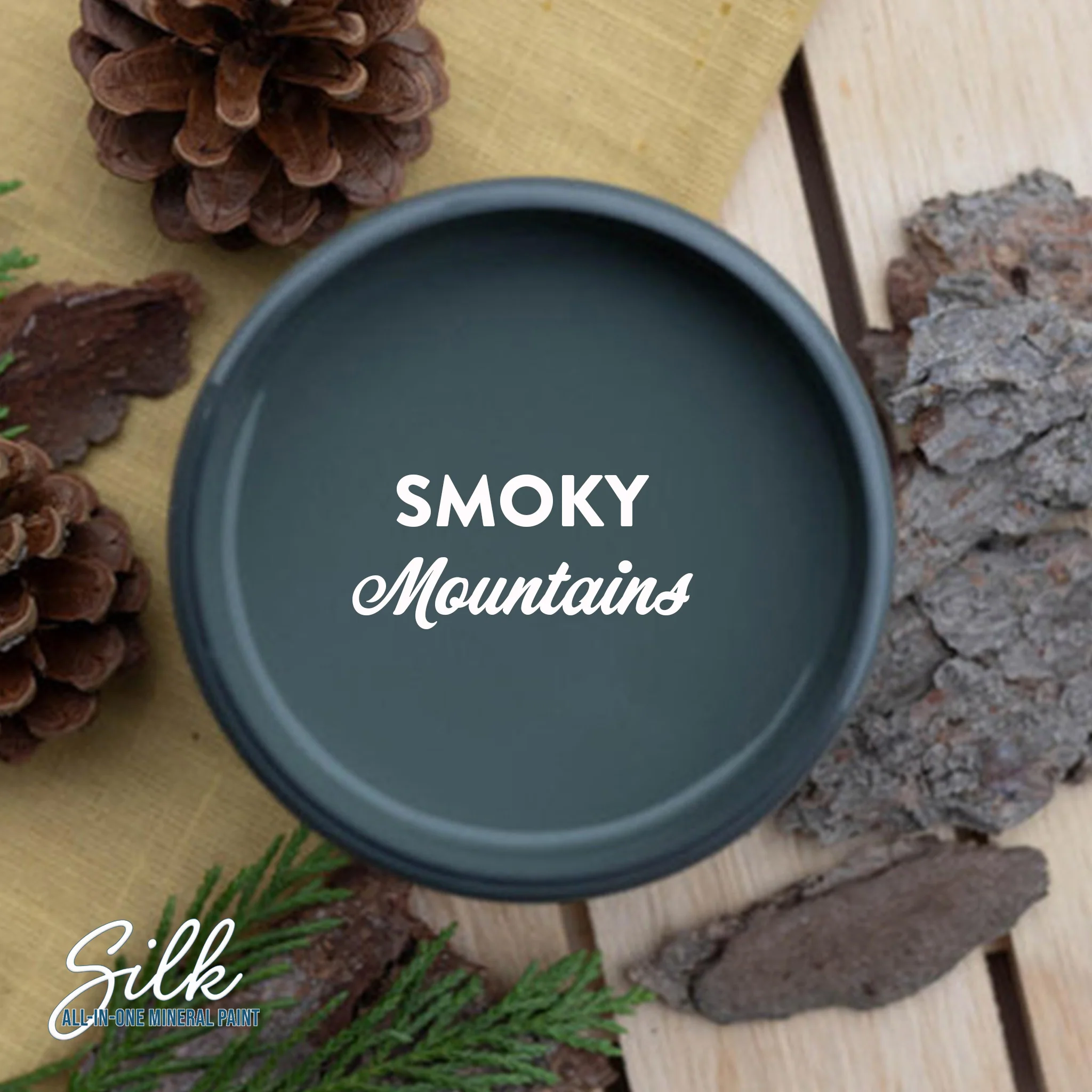 Dixie Belle Smoky Mountains Silk All-in-One | Furniture Paint - Image 4