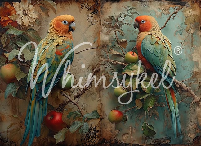Whimsykel - Parrot Paradise Decoupage Paper (21x29 Size) - Image 2
